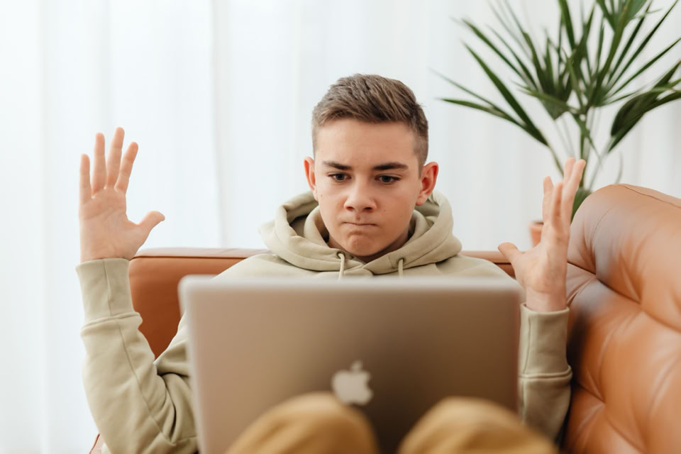 A person sitting on a couch with a laptop on their lap, raising their hands, with a plant in the background.